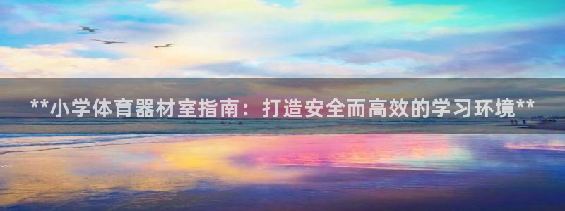 极悦官方网站app下载软件：**小学体育器材室指南：