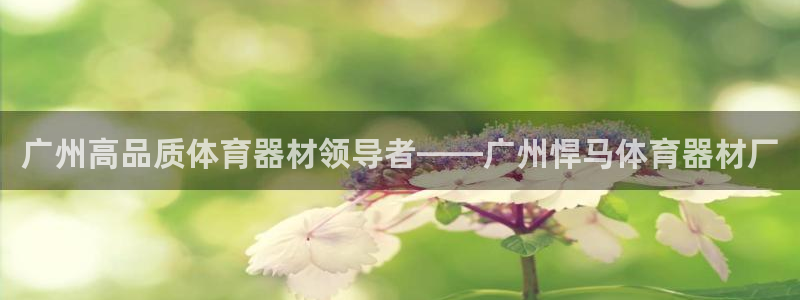 极悦平台注册流程图片：广州高品质体育器材领导者——广