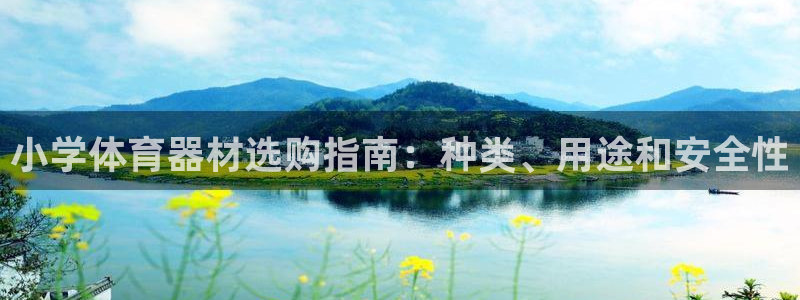 极悦官网旗舰店地址：小学体育器材选购指南：种类、用途