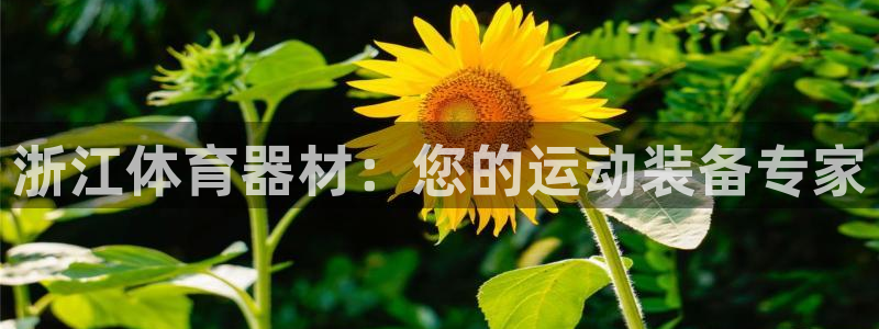 极悦平台注册太7.0.2.4怎么解决：浙江体育器材：