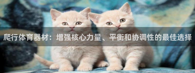 极悦平台官网下载中心app：爬行体育器材：增强核心力