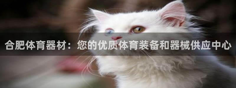 极悦平台注册登录失败：合肥体育器材：您的优质体育装备
