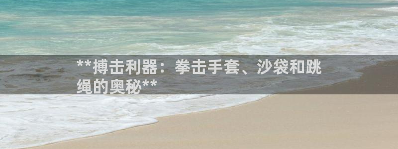 极悦平台注册流程图：**搏击利器：拳击手套、沙袋和跳