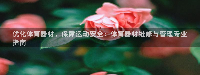极悦平台注册和登录页面：优化体育器材，保障运动安全：