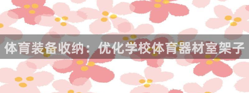 极悦娱乐创始人背景故事介绍：体育装备收纳：优化学校体