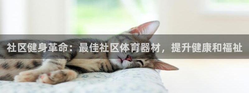 深圳极悦文化传媒有限公司：社区健身革命：最佳社区体育