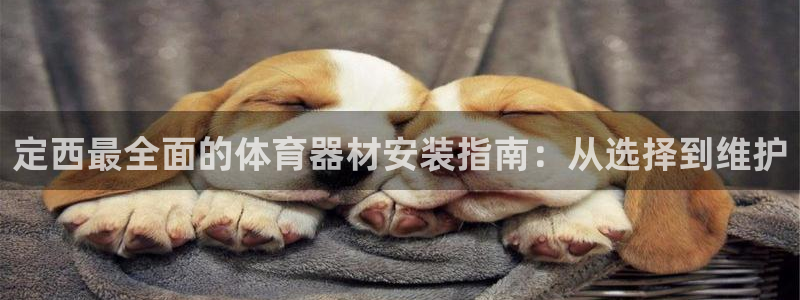 极悦娱乐官网入口网址：定西最全面的体育器材安装指南：