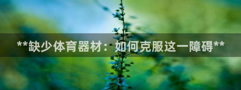 极悦平台股东是谁：**缺少体育器材：如何克服这一障碍