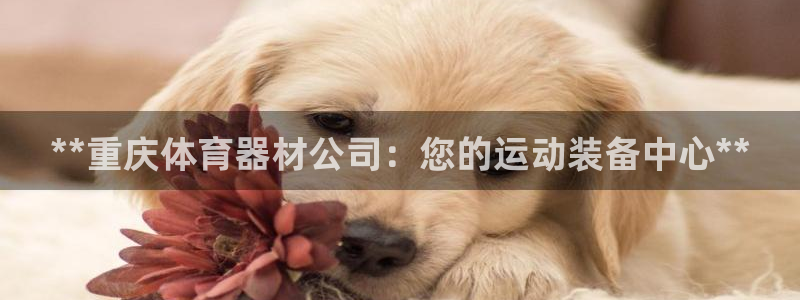 极悦官方网站入口网址是什么：**重庆体育器材公司：您