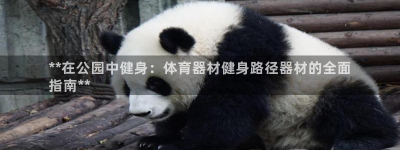 极悦平台登录7.0.2.4手机版下载：**在公园中健