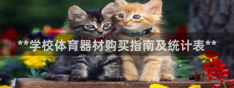 极悦娱乐最新版本更新内容介绍：**学校体育器材购买指
