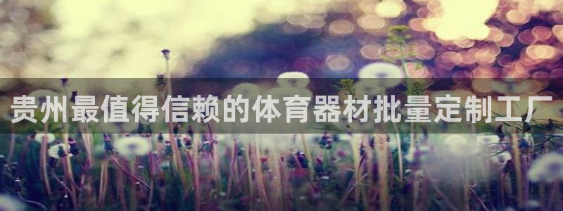 极悦平台官网登录网址是多少：贵州最值得信赖的体育器材