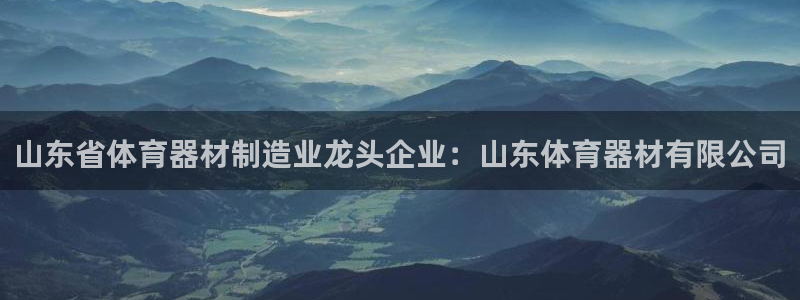 加盟极悦教育要多少钱：山东省体育器材制造业龙头企业：