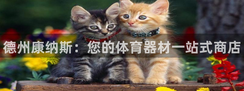 极悦平台使用注意事项是什么：德州康纳斯：您的体育器材