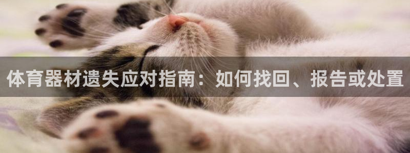极悦是什么牌子空调：体育器材遗失应对指南：如何找回、