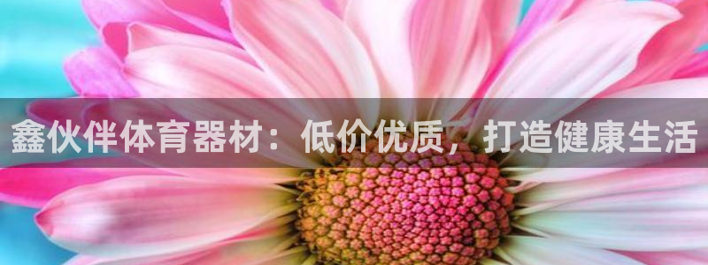 极悦官网下载最新版本更新内容视频：鑫伙伴体育器材：低