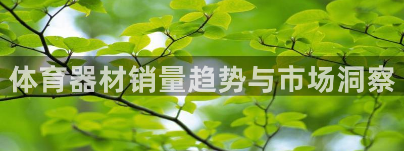 极悦娱乐的背景和历史背景：体育器材销量趋势与市场洞察