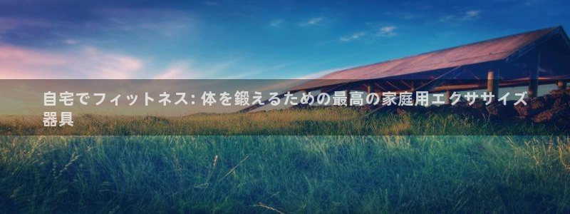 极悦娱乐代理怎么样：自宅でフィットネス: 体を鍛える