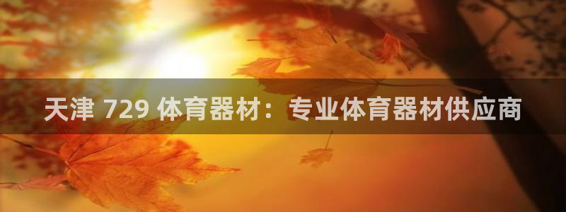 极悦娱乐分7O777：天津 729 体育器材：专业体