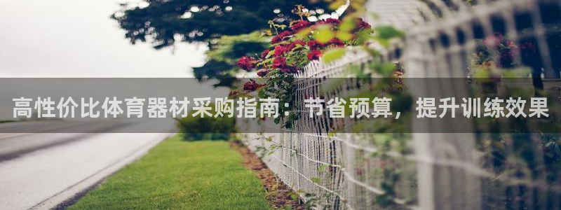 极悦平台官网登录入口网址查询：高性价比体育器材采购指