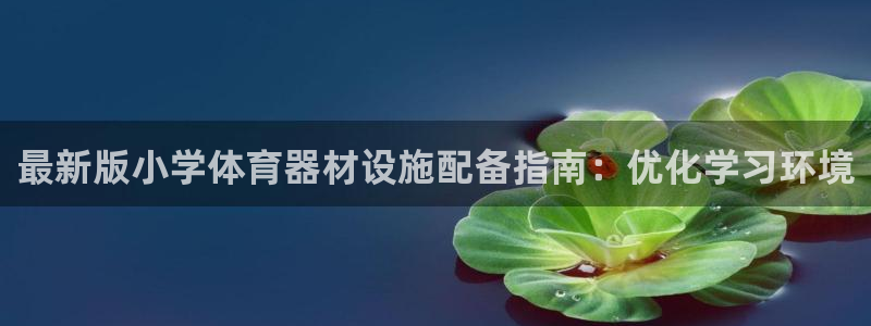 极悦平台代理：最新版小学体育器材设施配备指南：优化学