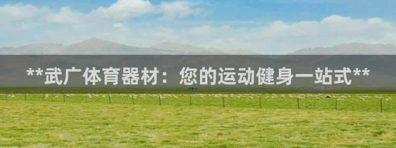 极悦平台客服团队介绍：**武广体育器材：您的运动健身