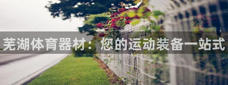 极悦娱乐官网最新版本更新内容下载：芜湖体育器材：您的