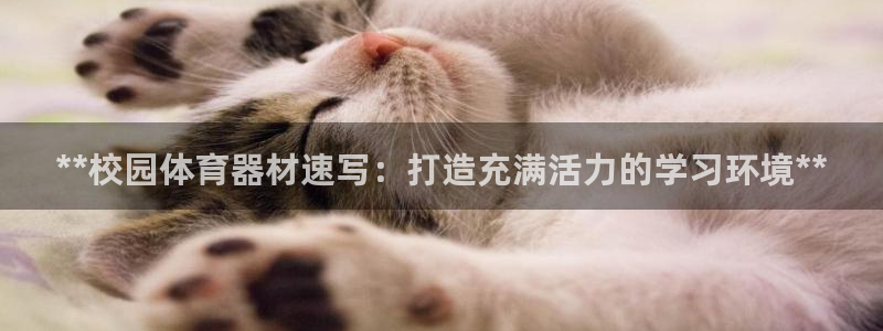 极悦官网旗舰店是正品吗：**校园体育器材速写：打造充