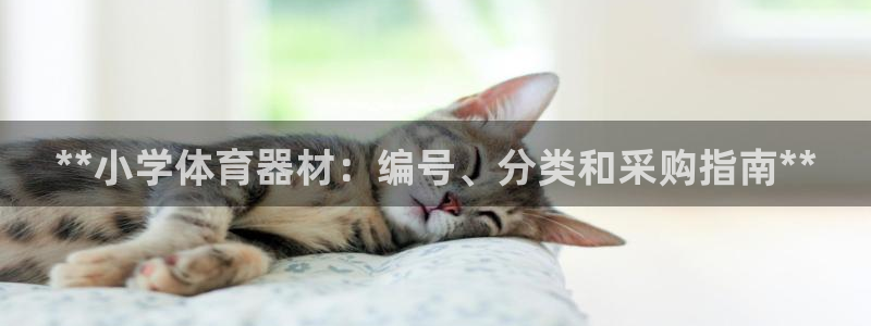 极悦平台是正规平台吗：**小学体育器材：编号、分类和