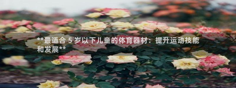 极悦平台官网登录网址是什么：**最适合 5 岁以下儿童的体育