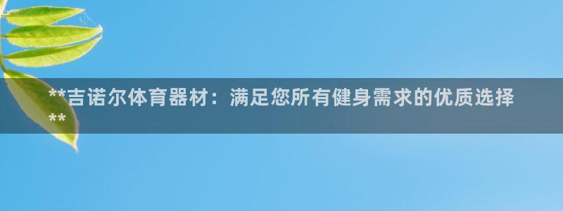 极悦娱乐的创始人背景故事：**吉诺尔体育器材：满足您