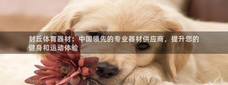 极悦平台注册用户名格式错误：封丘体育器材：中国领先的