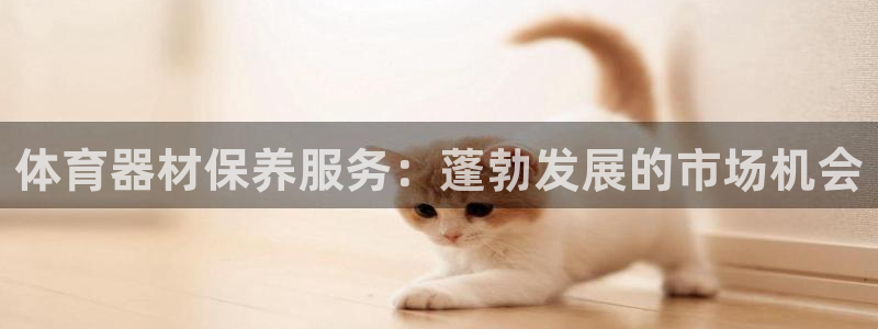 极悦娱乐官方网站首页：体育器材保养服务：蓬勃发展的市