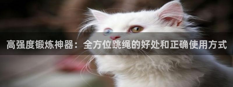 极悦平台官方网站首页：高强度锻炼神器：全方位跳绳的好处和正确