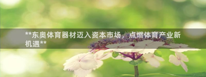 极悦平台登录方式怎么改：**东奥体育器材迈入资本市场