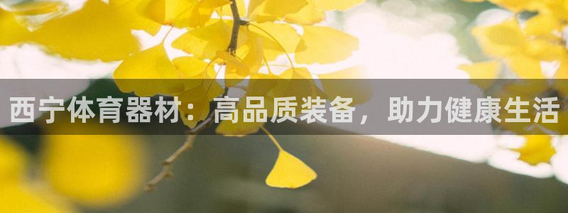 极悦官方网站app下载安卓：西宁体育器材：高品质装备