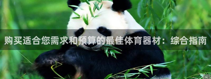 极悦娱乐负责人：购买适合您需求和预算的最佳体育器材：