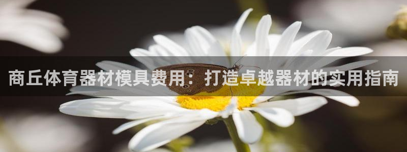 极悦平台登录最新版本更新内容是什么：商丘体育器材模具