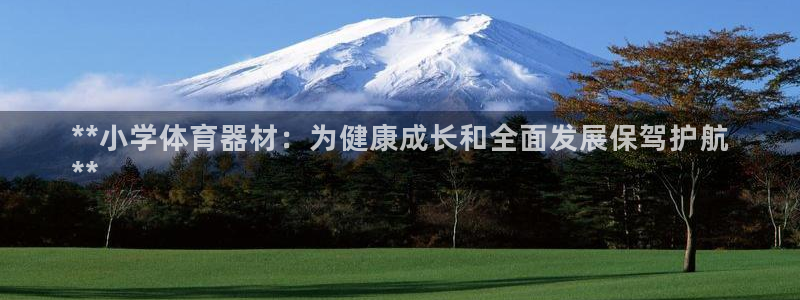 石家庄极悦空间设计有限公司：**小学体育器材：为健康