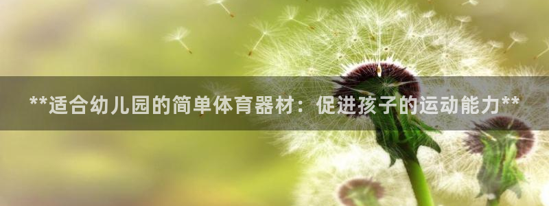 极悦娱乐百科百度贴吧：**适合幼儿园的简单体育器材：