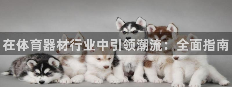 极悦平台股东：在体育器材行业中引领潮流：全面指南