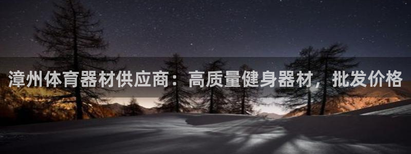 极悦平台代理怎么做：漳州体育器材供应商：高质量健身器
