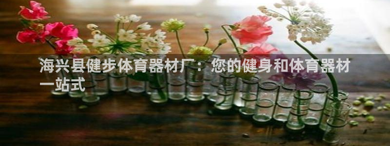 极悦官方网站入口网址大全：海兴县健步体育器材厂：您的
