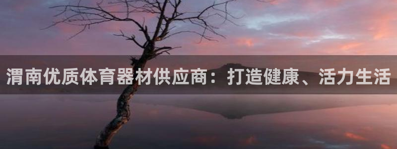极悦益生菌猫粮怎么样：渭南优质体育器材供应商：打造健