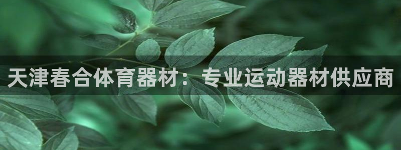 极悦平台与网易合作详情：天津春合体育器材：专业运动器