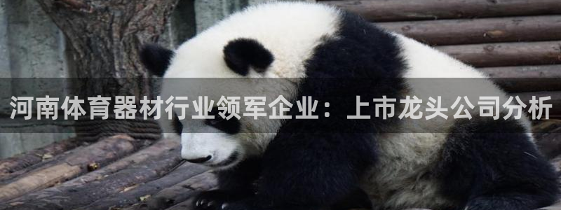 极悦平台客服的联系方式是