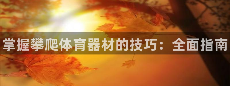 极悦平台登录不进去怎么回事儿：掌握攀爬体育器材的技巧：全面指