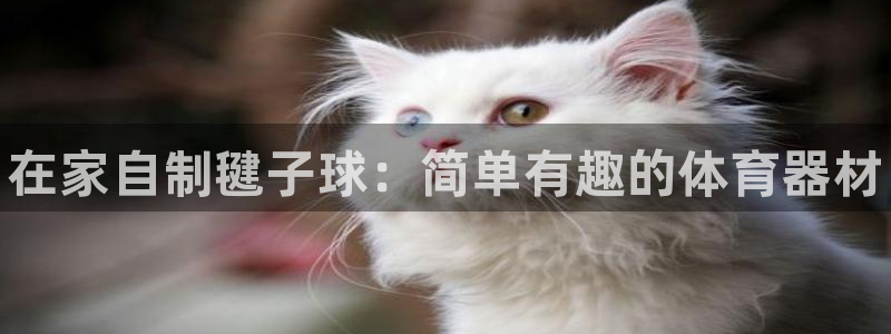极悦娱乐的最新版本更新内容是什么