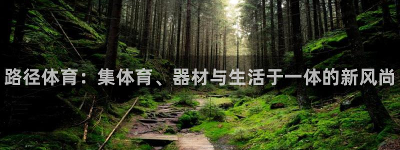 极悦官方网站入口网址