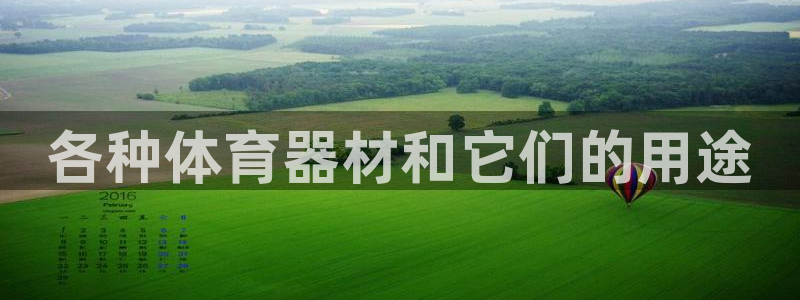 极悦平台注册太7.0.2.4.4更新内容：各种体育器